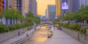 "Education fever": changing international study trends in South Korea